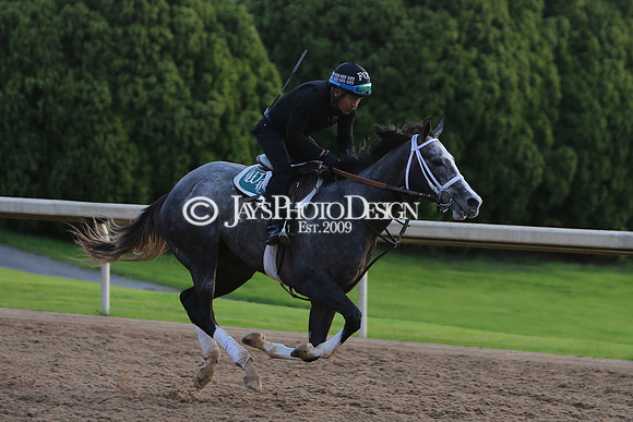 z240330_ArkansasDerbyDay_JWM_0126