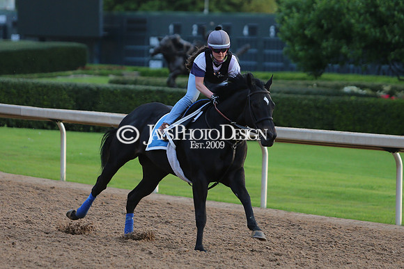z240330_ArkansasDerbyDay_JWM_0146