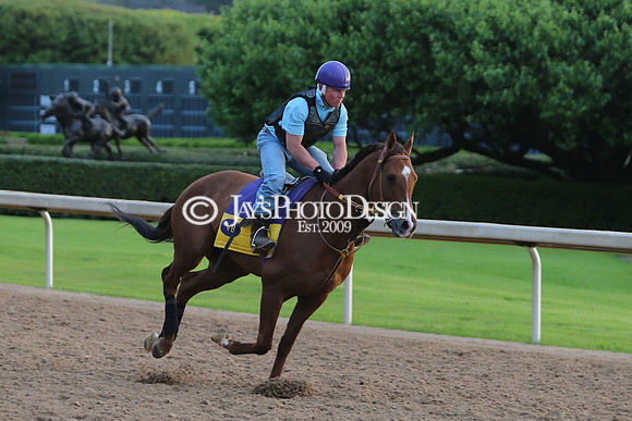 z240330_ArkansasDerbyDay_JWM_0158