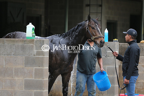 z240330_ArkansasDerbyDay_JWM_0277