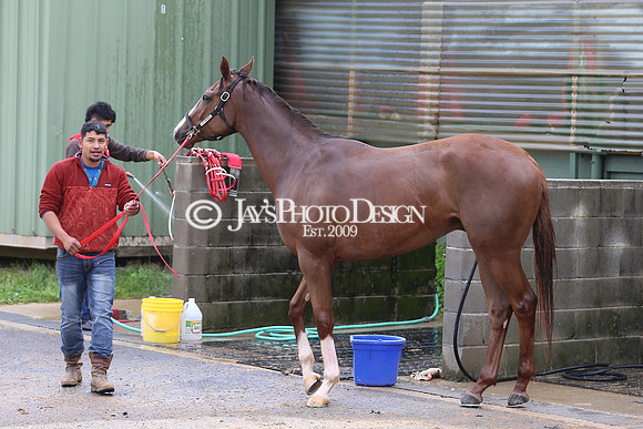 z240330_ArkansasDerbyDay_JWM_0264