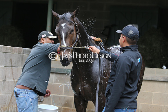 z240330_ArkansasDerbyDay_JWM_0283