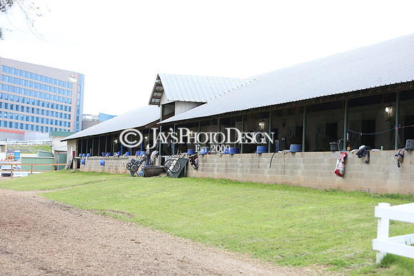 z240330_ArkansasDerbyDay_JWM_0291