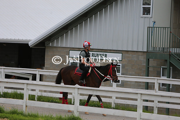 z240330_ArkansasDerbyDay_JWM_0301