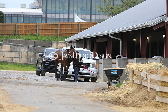 z240330_ArkansasDerbyDay_JWM_0312