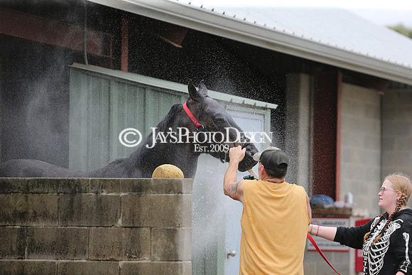 z240330_ArkansasDerbyDay_JWM_0332
