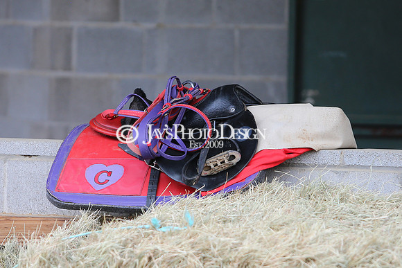 z240330_ArkansasDerbyDay_JWM_0317