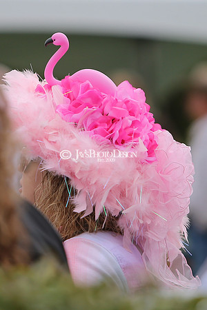 z240330_ArkansasDerbyDay_JWM_0492
