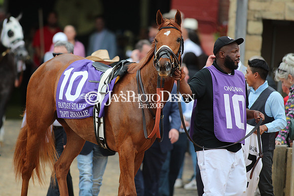 z240330_ArkansasDerbyDay_JWM_1834