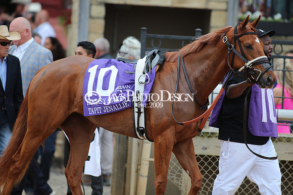 z240330_ArkansasDerbyDay_JWM_1837