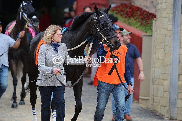z240330_ArkansasDerbyDay_JWM_1276
