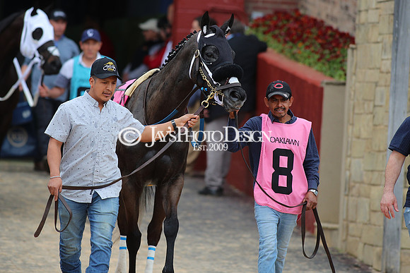 z240330_ArkansasDerbyDay_JWM_1279