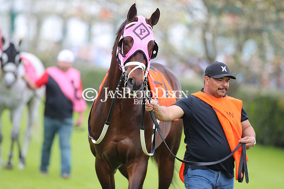z240330_ArkansasDerbyDay_JWM_1061