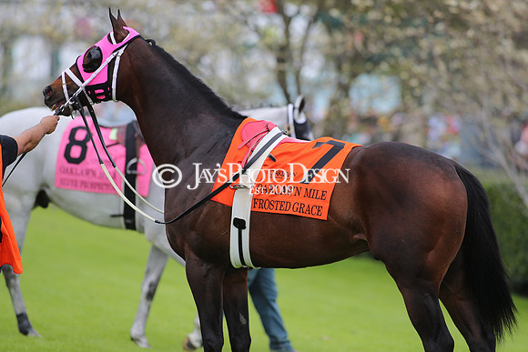 z240330_ArkansasDerbyDay_JWM_1096