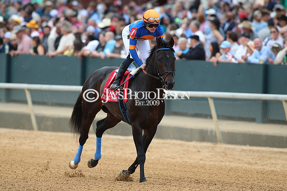 z240330_ArkansasDerbyDay_JWM_1171