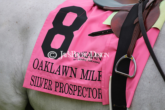 z240330_ArkansasDerbyDay_JWM_1116