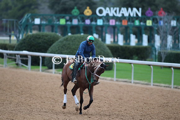 z250104_SmartyJonesStakesDay _JWM_0052