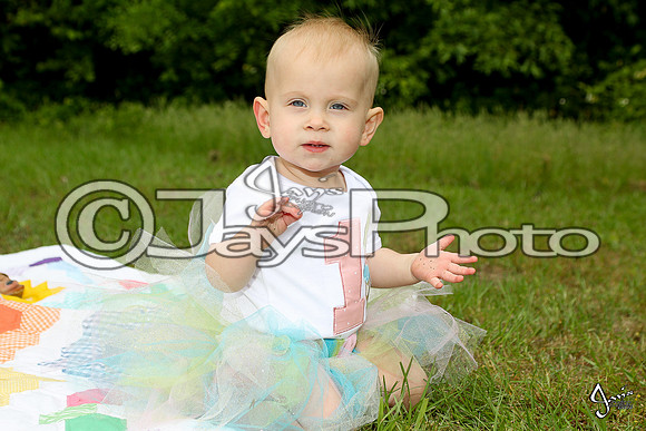 Camden's 1st Birthday pictures_0357