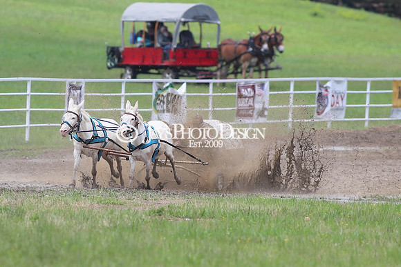 Whiskey Ridge Ranch (Chuckwagon Races) 5-25-24_JWM_0202