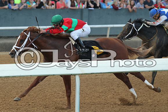 JWM_170318_RebelStakes_01052