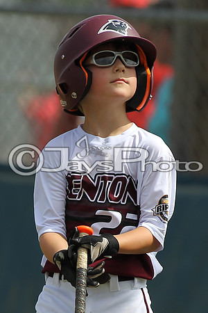Arkadelphia vs Benton 5-6 year old All-Stars 6-13-2015 (©Justin Manning) JWM_0173