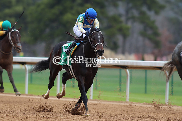z250104_SmartyJonesStakesDay _JWM_0232