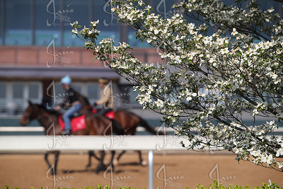 Apple Blossom Stakes Day 4-12-25_JWM_0041