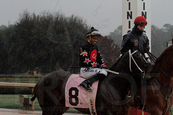 Dixie Belle Stakes 1-10-14 (©Justin Manning) JWM_0059