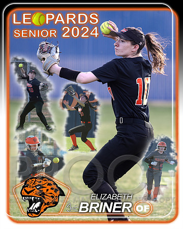 BrinerSeniorProject10 16x20