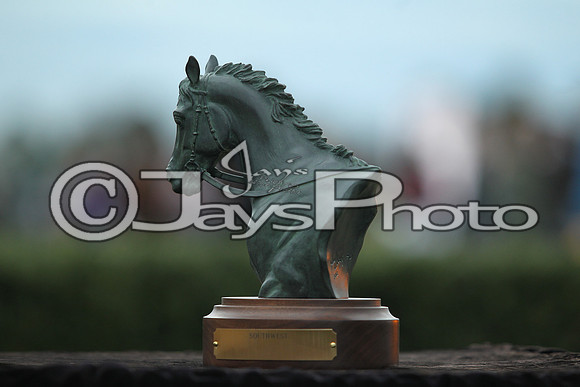 Southwest Stakes (GradeIII) 2-20-17_JWM00612