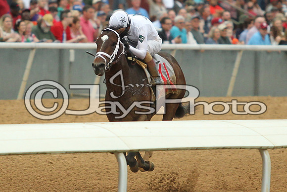 Southwest Stakes (GradeIII) 2-20-17_JWM00914
