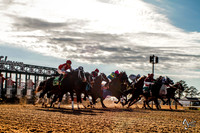 Oaklawn 1-21-13 (Smarty Jones Stakes)