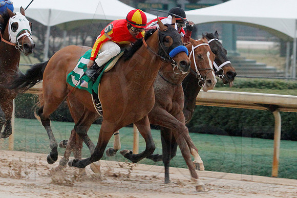 Rebel Stakes 3-15-14 3-15-2014 (© Justin Manning) JWM_0240