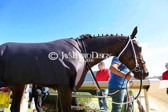 z240413_Count Fleet Sprint Handicap_JWM___0142