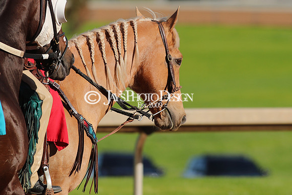 z240413_Apple Blossom Handicap_JWM_0345