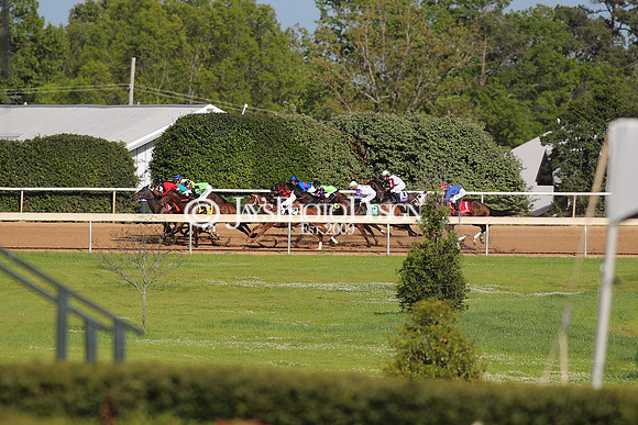 z240413_Apple Blossom Handicap_JWM_0348