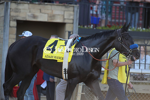 z240413_Apple Blossom Handicap_JWM_0522