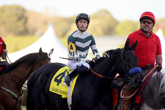 z240413_Apple Blossom Handicap_JWM_0916