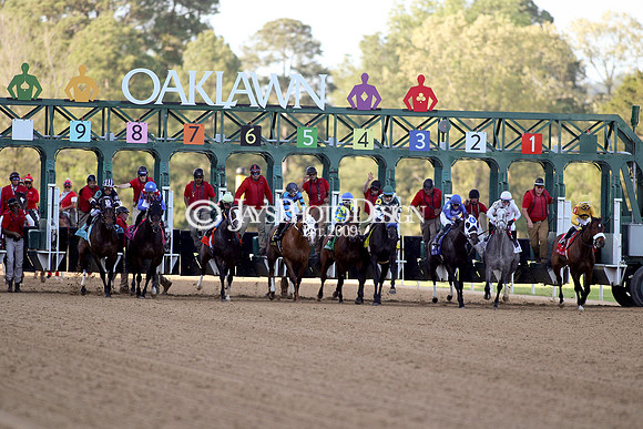 z240413_Apple Blossom Handicap_JWM_0988