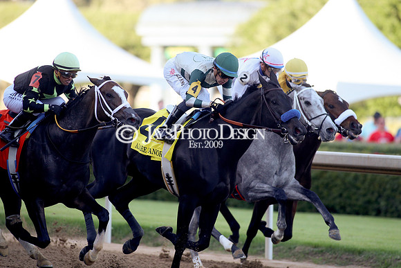 z240413_Apple Blossom Handicap_JWM_1005