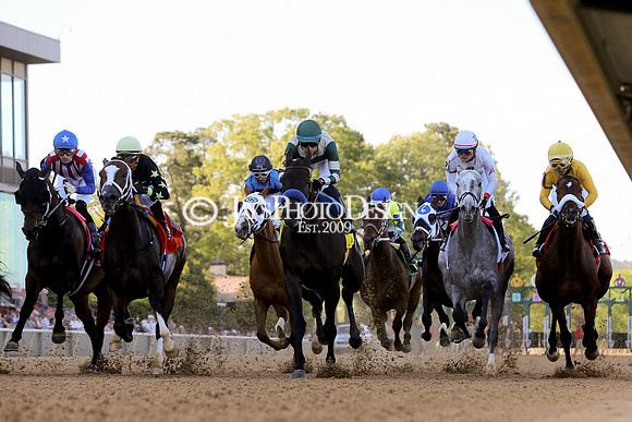 z240413_Apple Blossom Handicap_JWM_0135