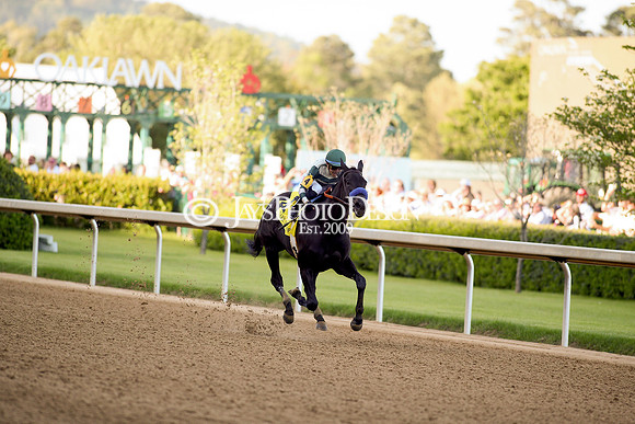 z240413_Apple Blossom Handicap_JWM_1027