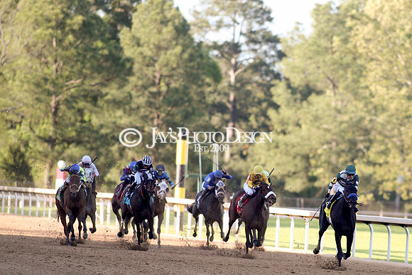 z240413_Apple Blossom Handicap_JWM_1019