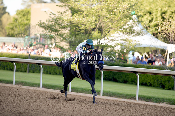 z240413_Apple Blossom Handicap_JWM_1033