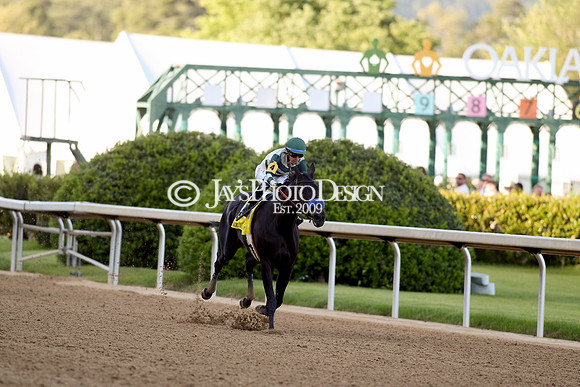 z240413_Apple Blossom Handicap_JWM_1025