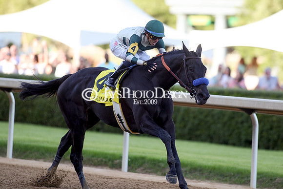 z240413_Apple Blossom Handicap_JWM_1042