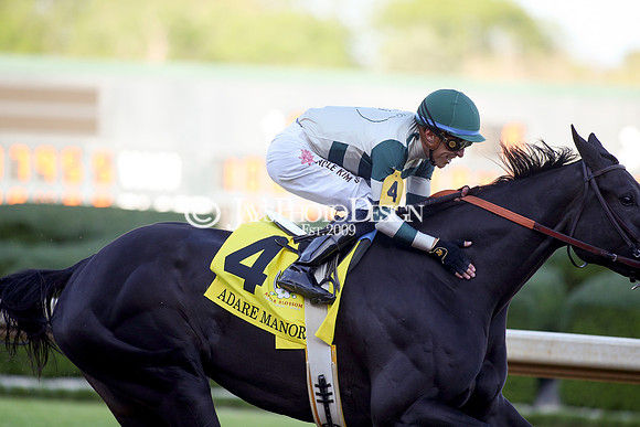 z240413_Apple Blossom Handicap_JWM_1058
