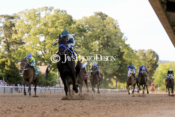 z240413_Apple Blossom Handicap_JWM_0231