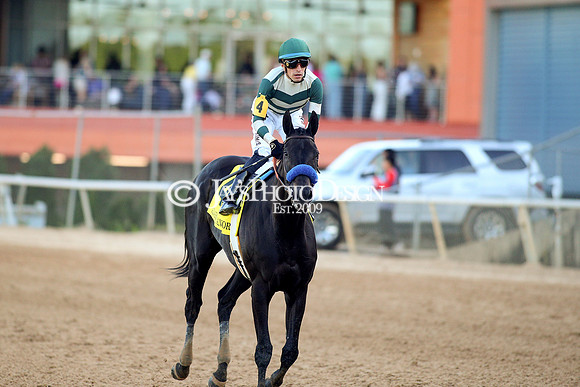 z240413_Apple Blossom Handicap_JWM_1093