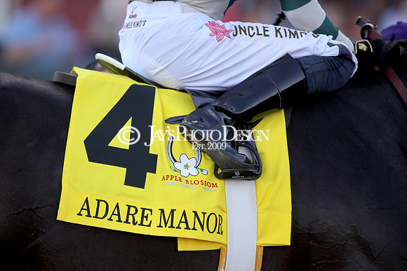 z240413_Apple Blossom Handicap_JWM_1134